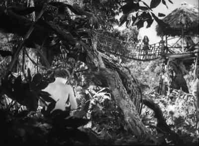 Boy, you'd better come up and help me. - Tarzan and the Huntress