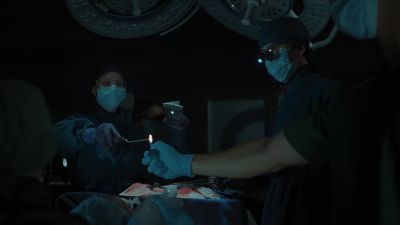 BP is 48 over palp. - The Good Doctor