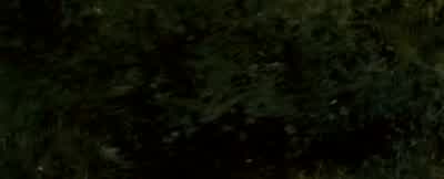 Brace yourselves! - The Chronicles of Narnia: Prince Caspian