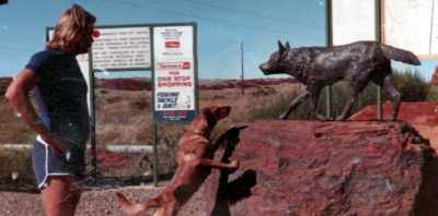 BRAD: This dog is
a centrepoint for town - Koko: A Red Dog Story