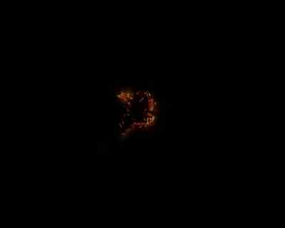 Bradfield
5 years latter - Wire in the Blood