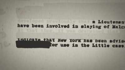 Bradley is described,
right here in their own files, - Who Killed Malcolm X?