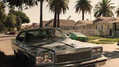(brakes squealing) - Snowfall
