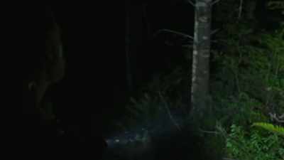 [branch cracks] - Expedition Bigfoot