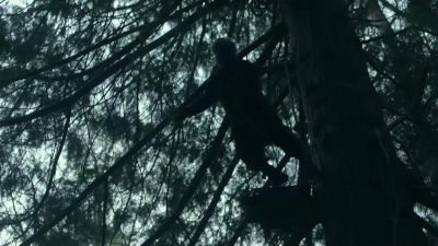 [branch rustles] - Vikings