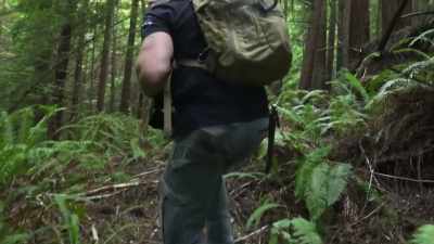 [branch snaps] - Expedition Bigfoot