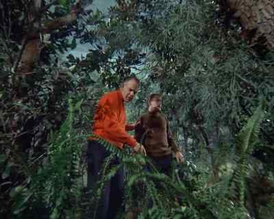 - [ Branch snaps ]
- Take cover! - Land of the Giants
