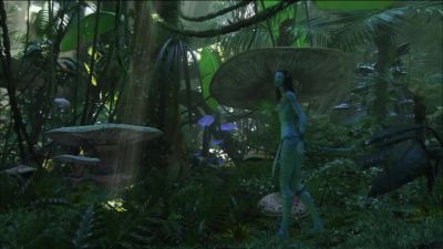 (BRANCHES CRACKING) - Avatar