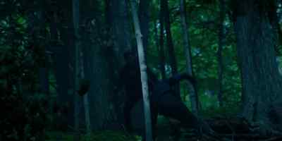 (branches crunching)
(Joe groaning) - Condor