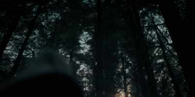 [branches rustling faintly] - The Watchers
