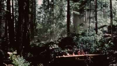 (branches rustling) - Trees and Other Entanglements