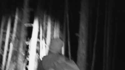 [branches snapping] - Expedition Bigfoot