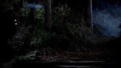 [BRANCHES SNAPPING] - True Blood