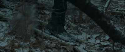 [branches snapping] - The Bad Shepherd