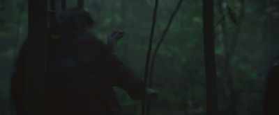 [branches snapping] - Mother/Android