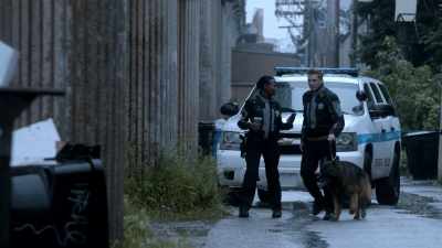 BRANDT: Oh, no! Oh, no! - APB