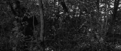 Brandt.
Stretcher, come on. - The Young Lions