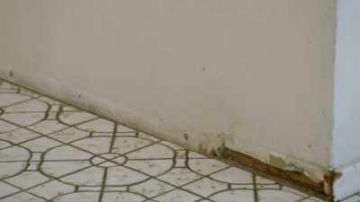 [Brandy] So, how do you
find this again? - Renovation Impossible
