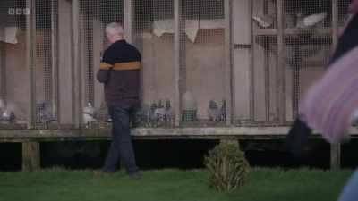 Brave, - Once Upon a Time in Northern Ireland