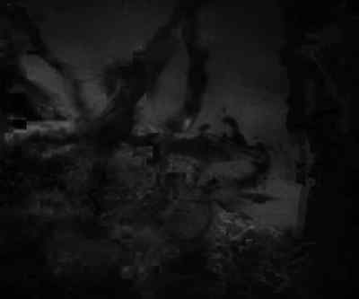 Bravo! - Sunrise: A Song of Two Humans
