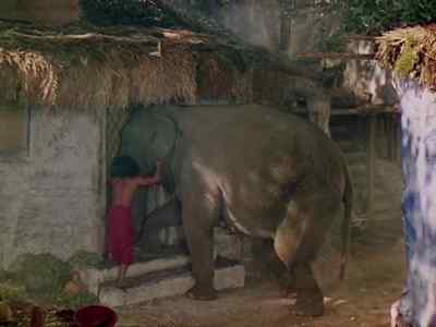 Break the door, Hathi.
Break the door. - Jungle Book