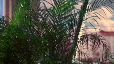 Breathe, Eric, breathe. - CSI: Miami