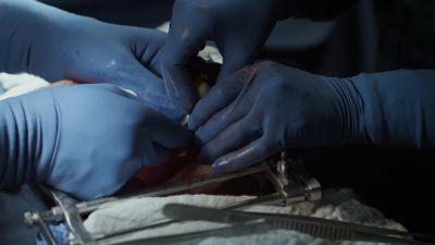 (BREATHES DEEPLY) - The Good Doctor