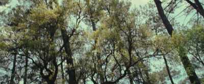 (breathes heavily) - The Animal Kingdom