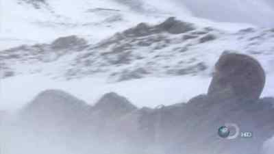 [ BREATHING HEAVILY ] - Man vs. Wild