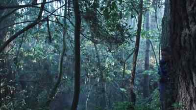 [breathing heavily] - The New Legends of Monkey