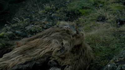 (BREATHING HEAVILY) - Vikings