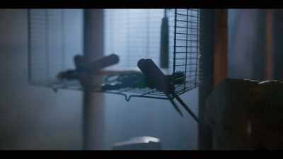 (breathing heavily) - Girl in the Video
