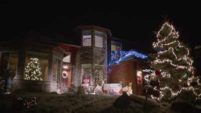 [bree] they used to start
with an entire tree - The Holiday Proposal Plan