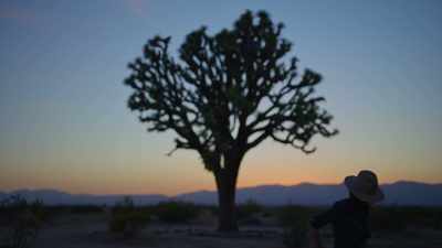 - (breeze blowing)
- (leaves rustling) - Trees and Other Entanglements