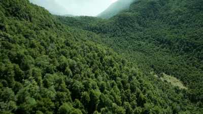 ...breezes whispering
through lush jungle leaves... - When Nature Calls with Helen Mirren