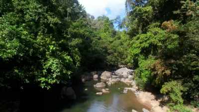 ...breezes whispering
through lush jungle leaves... - When Nature Calls with Helen Mirren