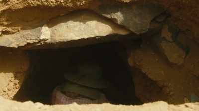 Breidenstein: I'm interested
in the intact teeth - Lost Kingdom of the Black Pharaohs