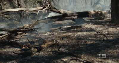 BRENDON O'CONNOR: To me, it has
a big part in how it should be done. - A Fire Inside