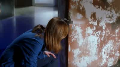 BRENNAN: Body is going to be mostly decomposed. - Bones