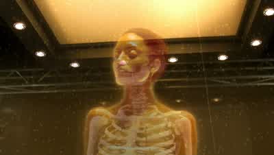 BRENNAN: Does anyone recognize her? - Bones