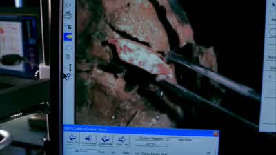 BRENNAN: That's a match. - Bones