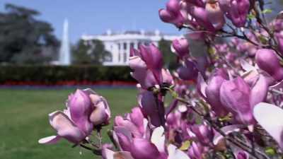 BRIAN MOSTELLER:
It was a beautiful, - The Way I See It