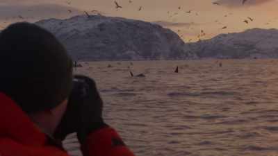 ''Brian Skerry is here to see
these techniques for himself.'' - Secrets of the Whales
