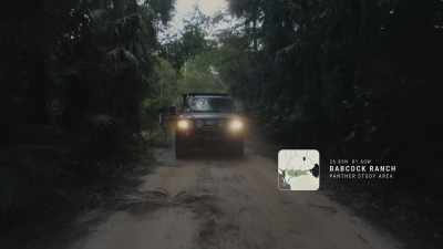 BRIAN: The tracks never lie.
'Cause tracks that small, for a panther, - Path of the Panther