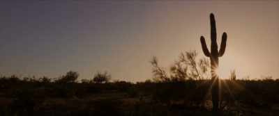 [Brian] When people
are exposed to radiation, - Downwind