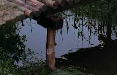 (bridge cracking) - Bluebeard