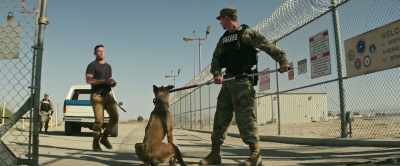 [Briggs] Hey, hey, hey, hey.
Wait, wait, wait, wait, wait, - Dog