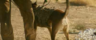 [Briggs whispering
indistinctly] - Dog