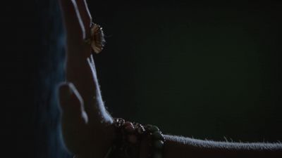 Bring her back. - Under the Dome