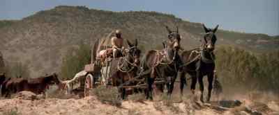 Bring 'em on! - The Cowboys